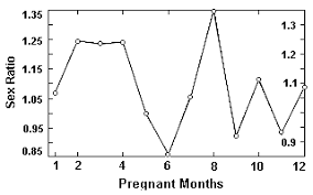 13 Circumstantial Chinese Birth Chart Boy Or Girl Free