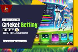 Cricket Betting in USA | Legal Insights & Top Betting Platforms