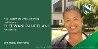 Nedbank retail, which serves the. Alan Shannon Executive Small Business And Professional Banking Client Engagement Nedbank Linkedin