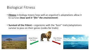 Natural Selection And Evolution Ppt Download