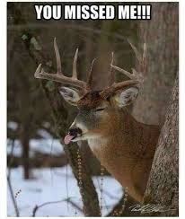 You Missed Me Deer Hunting Humor Hunting Humor Funny Hunting Pics