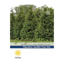 Check spelling or type a new query. Plants Flowers At Tractor Supply Co