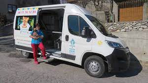 Dans votre magasin gifi, vous trouvez des milliers d'articles à prix bas pour la décoration et l'aménagement de votre maison : Toilettage Canin Itinerant En Maurienne Savoie 73