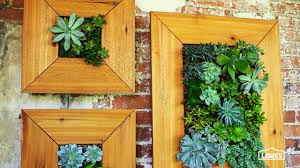 It is a characteristic that is not used scientifically for the definition of most families and genera of plants because it often can be used. Diy Vertical Succulent Garden Youtube