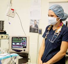 How long does it take to get an internship at beacon vet? Residents Interns Vet In East Greenwich Osvs