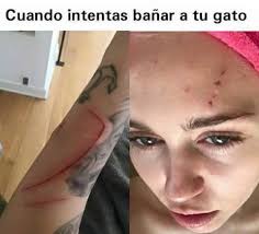 Love Yourself- Drew Mallette