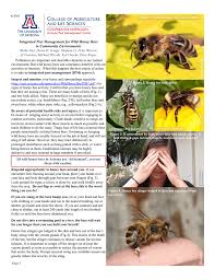 This cure must be followed in a specialized centre. Integrated Pest Management For Wild Honey Bees In Community Environments