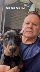 Over the years with my dogs . #Love dedication #westcoastdoberman