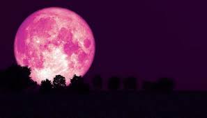 La super lune rose est donc surtout une manière. Une Super Lune Rose Illuminera Le Ciel Dans La Nuit Du 26 Au 27 Avril