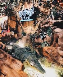 Maybe you would like to learn more about one of these? Rainforest Cafe Family Travel Blog Paula Gaston