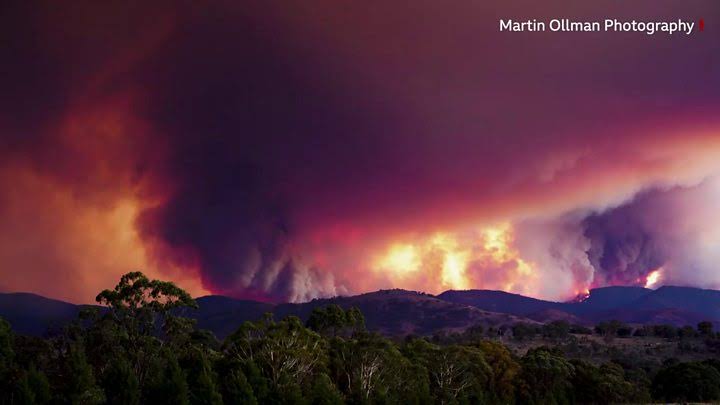 Image result for Australia fires: State of emergency declared for Canberra region"