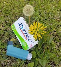 Steam Carpet Cleaning And Allergy Prevention How To Clean Carpet Carpet Steam Allergies