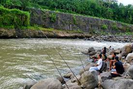 Warta Pancing Teknik Memancing Ikan Air Tawar