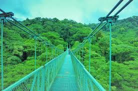 We did not find results for: Monteverde Cloud Forest And Hanging Bridges From Guanacaste 2021 Liberia