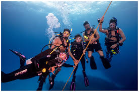 The answer to this question really depends on your schedule. Padi On Twitter Want 20 Off Select Elearning Courses A Free Online Scuba Refresher A Subscription To Scuba Diving Magazine 20 Off Padi Gear Amp More Join Padi Club Start Your 45 Day