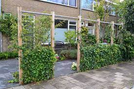 pergola steigerbuis tuin tuinhek achtertuin