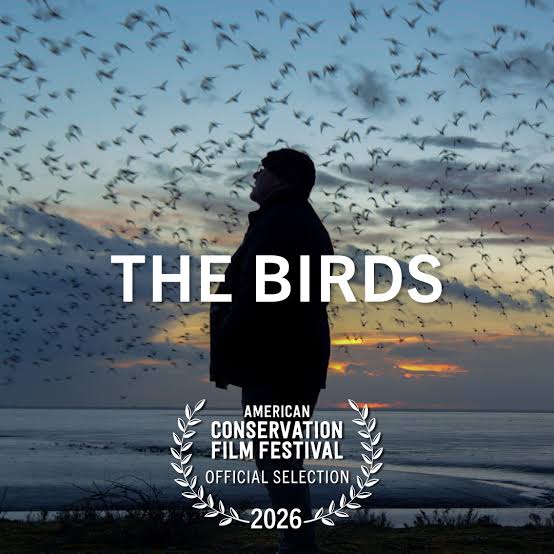 The Birds - American Conservation Film Festival | ACFF