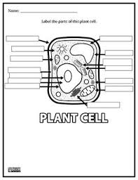 Innovative Teacher Cells Worksheet Plant Cells Worksheet Plant Cell
