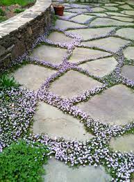Maybe you would like to learn more about one of these? Easy And Cool Landscape Ideas