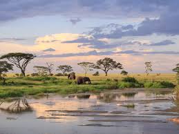 Supporters says charges against zara kay, who has had her passport confiscated, are 'politically motivated'. The Weather And Climate In Tanzania