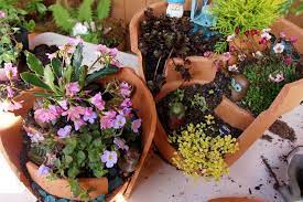 Maybe you would like to learn more about one of these? Wsmag Net Blog Gardening With Peg How To Create Tiny Whimsical Gardens In Cracked Pots Gardeners Corner May 13 2015 Westsound Magazine