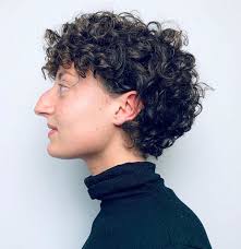 It is characterized by both a black and layered look throughout the head. 50 Best Haircuts And Hairstyles For Short Curly Hair In 2020 Hair Adviser