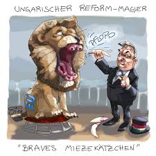 Orban decided not to attend the match, where a man brandishing one of the kaleidoscopic flags ran onto the pitch while the teams were awaiting the national anthems, just hours before he was due to. Stefan Fichtel Viktor Orban Miezekatzchen