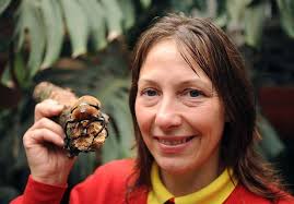 Zoo Keeper Kim Simmons Billy Elephant Editorial Stock Photo