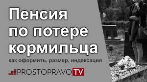 Pensiya Po Potere Kormilca 2021 Kak Oformit Razmer Indeksaciya Youtube