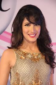 3 Bahadur: Rise of the Warriors