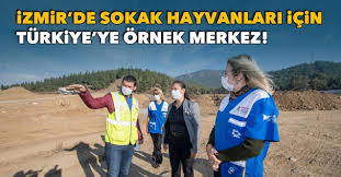 Izmir De Sokak Hayvanlari Icin Turkiye Ye Ornek Merkez