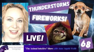 Calm Pets w Animal Communication, Acupressure & Energy Healing