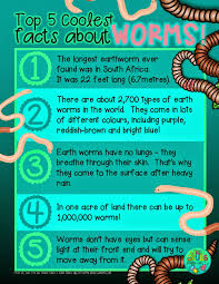 Green Grubs Garden Club Top 5 Coolest Facts About Worms Worms Preschool Worm Facts Fun Facts