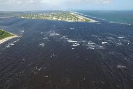 FAU | Experts Available on Impacts of Lake Okeechobee Discharge |  http://www.fau.edu/newsdesk/articles/lakeO-discharge2016.php