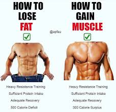 Pin On Building Physique Enjoying Life