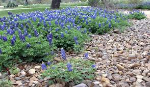 If you do not allow these cookies we will not know when you have visited our. How To Make A Flower Bed Into A Rock Garden Ehow River Rock Garden Rock Garden Landscaping With Rocks