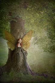Wood Fairy Fairy Art Fantasy Art Fairy Tales