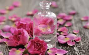 Aloe Vera Gel Cucumber Juice Rose Water And Mineral Water Buzzsouk Com aloe vera gel cucumber juice rose water
