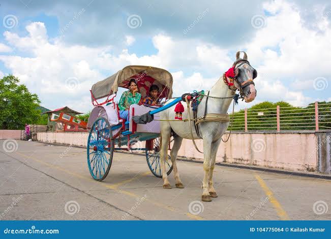 Tonga Horse Cart Stock Photos - Free & Royalty-Free Stock Photos from Dreamstime