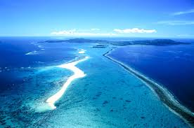 Image result for 沖縄の海