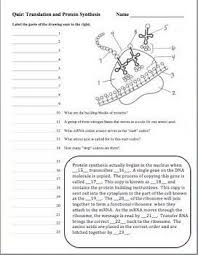 From dna to proteins i. Dna Rna Protein Synthesis Quiz Bundle Printable And Digital Distance Learning Biology Worksheet Teaching Biology Study Biology