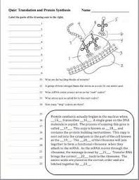 A, c, g, and t in dna; This Product Contains 3 Different Quizzes That You Can Use As You Are Teaching A Unit On Dna Rna And Protein Biology Classroom Biology Worksheet Study Biology