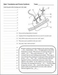 New genes can be added to an organism's dna. Pin On High School Teaching Ideas