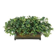 Check spelling or type a new query. Jane Seymour Silk English Ivy In Planter Sdp295 Gr Plants Planters Fake Plants