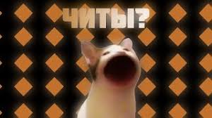 Mal schauen wie oft du das schaffst. Pop Cat Apk Download 2021 Free 9apps