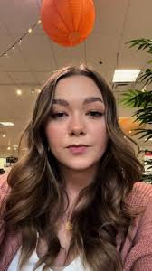 Levin Brooklyn Sectional Couch