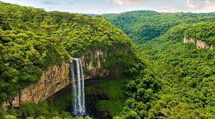 A group of friends join a guide for a trek into the bolivian jungle, searching for an indian village. 5 Of The Best Jungle And Rainforest Walks On The Planet