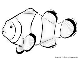 fish coloring pages ile ilgili görsel sonucu