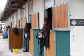 Brunch Kids Friendly A L Hippodrome De Lyon Lucky Sophie Blog Famille Voyage Brunch Courses Hippiques Hippique