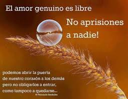 Pin On Frases